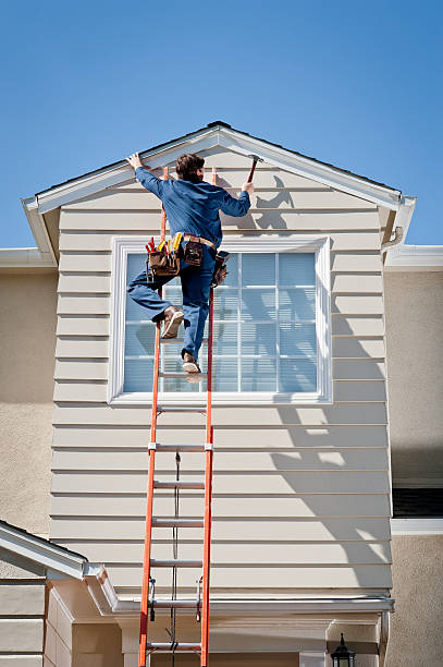 Best Shed Removal  in Aurora, IN